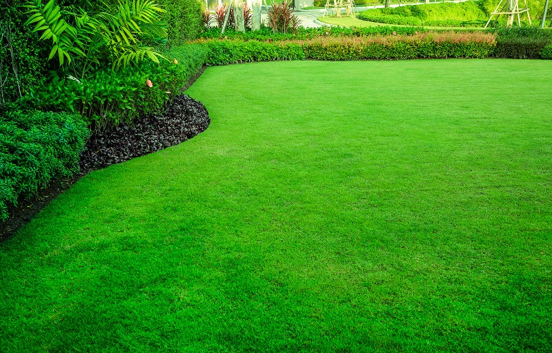 Texture SPRINKLER REPAIR/ INSTALLATION Walk